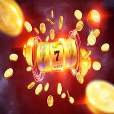 55wim bet